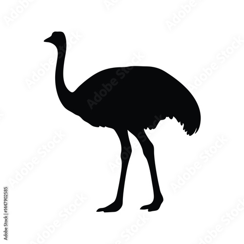 Silhouette of an ostrich bird with long neck, standing on white background