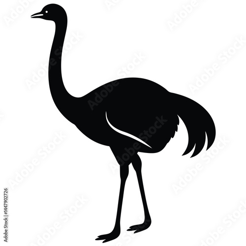Silhouette of an ostrich bird with long neck, standing on white background