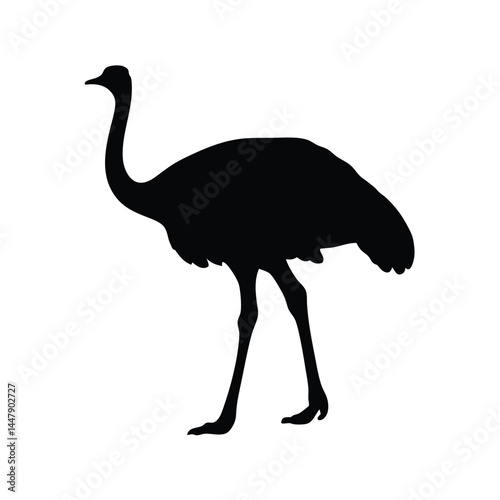 Silhouette of an ostrich bird with long neck, standing on white background