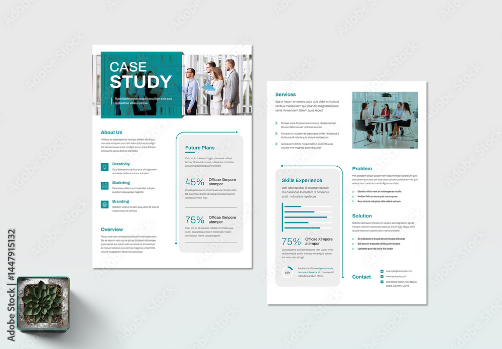 Creative Case Study Flyer Layout Stock Template | Adobe Stock