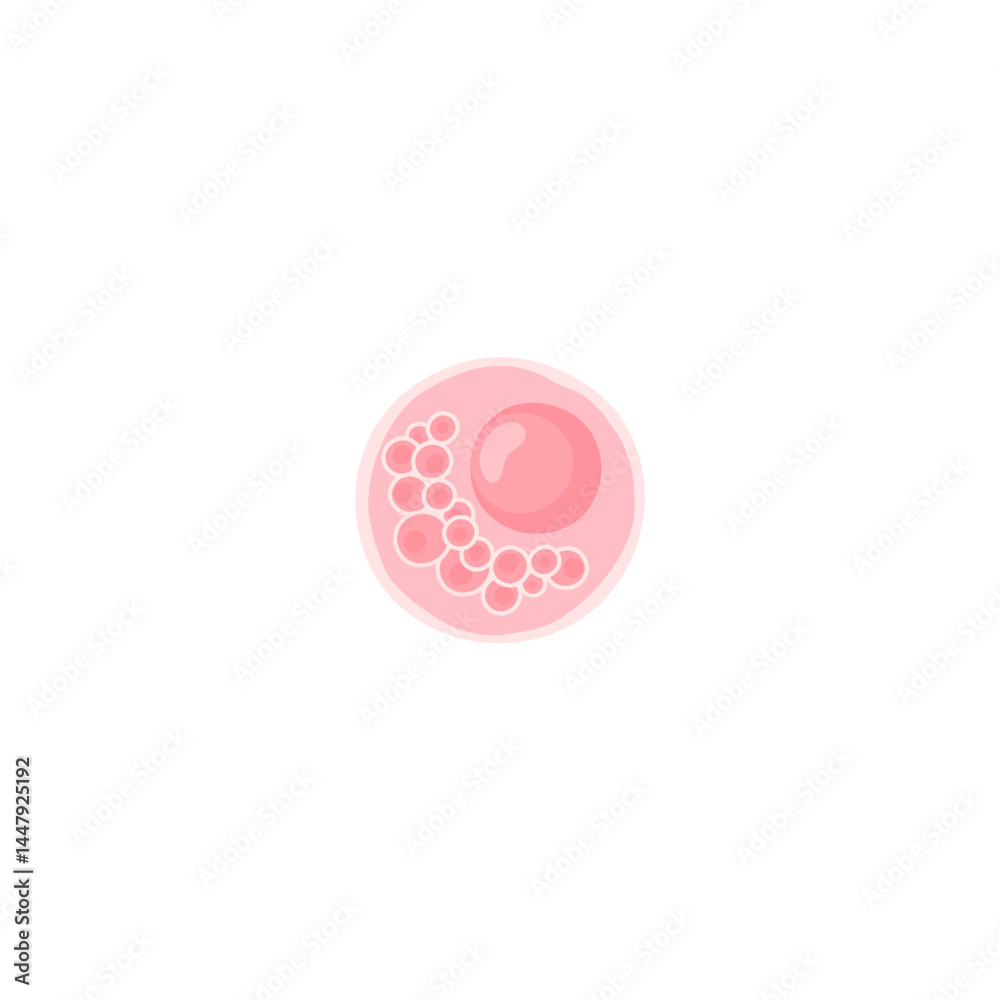 Obraz premium Chlamydia Vektor Illustration 