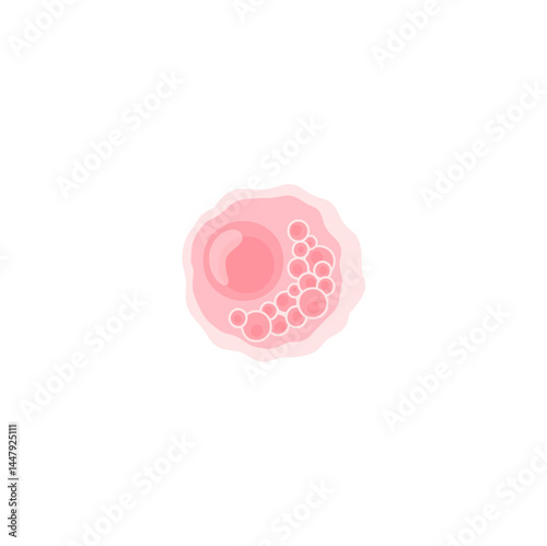 Chlamydia Vektor Illustration 