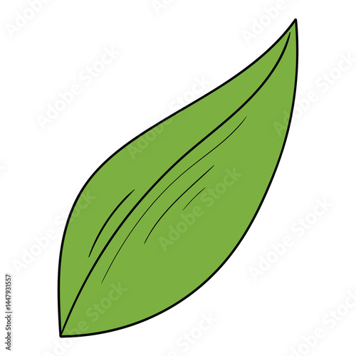 Hand drawn cartoon green basil leaf on white background.