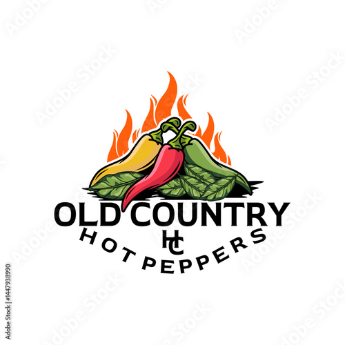 chili sauce vetor. chili logo. chili illustration. vintage chili sauce logo.
