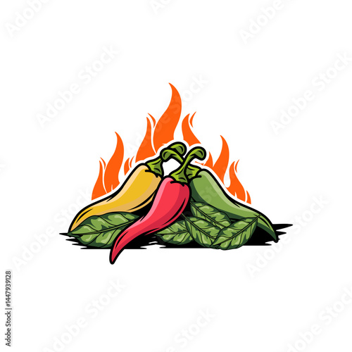 chili sauce vetor. chili logo. chili illustration. vintage chili sauce logo.