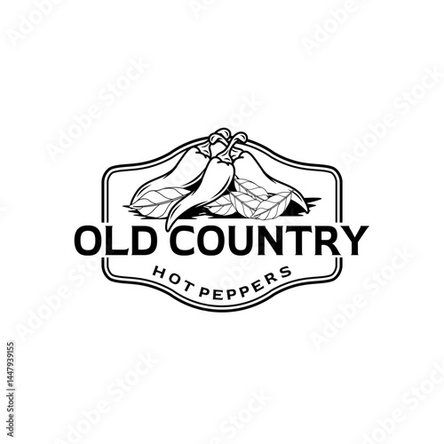 chili sauce vetor. chili logo. chili illustration. vintage chili sauce logo.