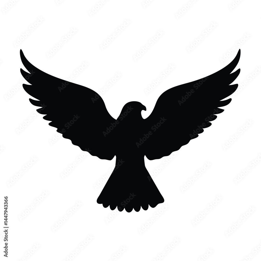 Obraz premium Silhouette of a bird in flight with wide spread wings
