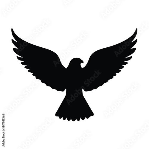 Silhouette of a bird in flight with wide spread wings