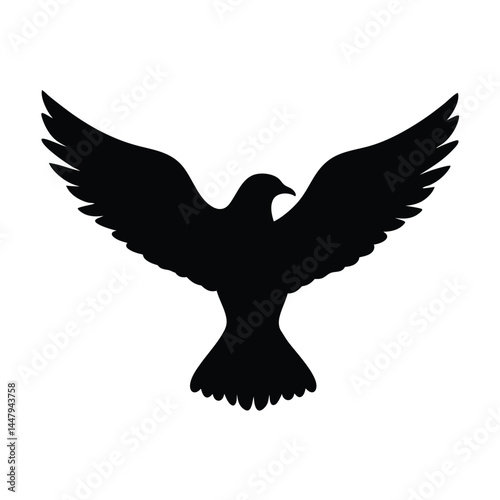 Silhouette of a bird in flight with wide spread wings