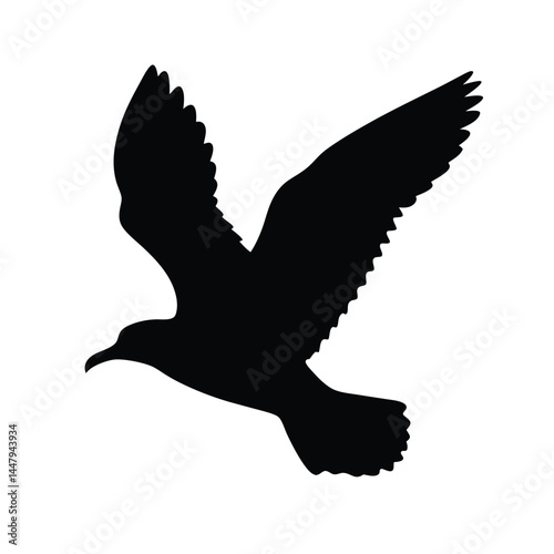 Silhouette of a bird in flight with wide spread wings