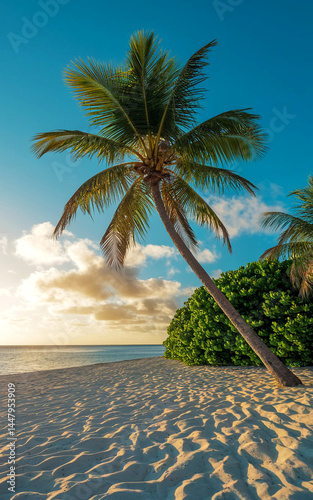 Tropical Paradise Beach at Sunset
