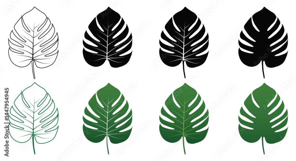 Fototapeta premium Monstera leaf set tropical plants, Vector