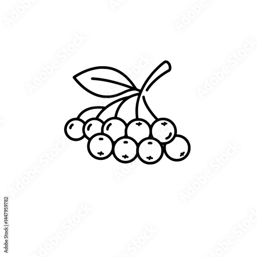 The icon of elderberries, representing the concepts of healthy berries and natural medicines