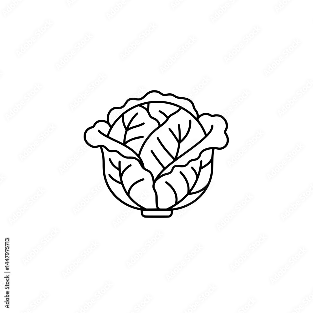 Cabbage icon representing concepts of healthy vegetables and nutritious diets Cabbage icon representing concepts of healthy vegetables and nutritious diets