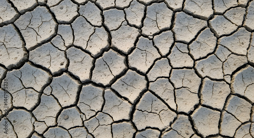 Dry Cracked Earth Surface Texture with Geometric Patterns in Beige and Brown Colors
