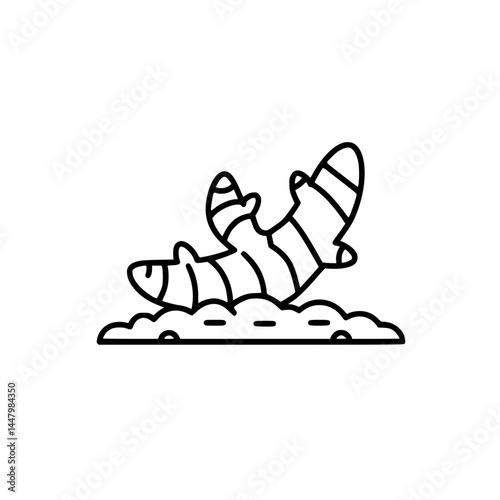 A simple line drawing of a ginger root.
