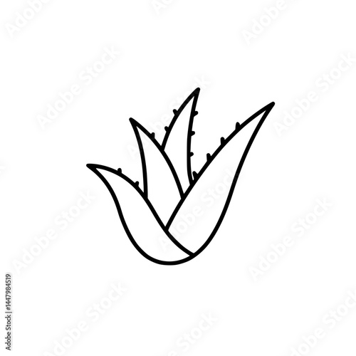 A simple line drawing of an aloe vera plant.
