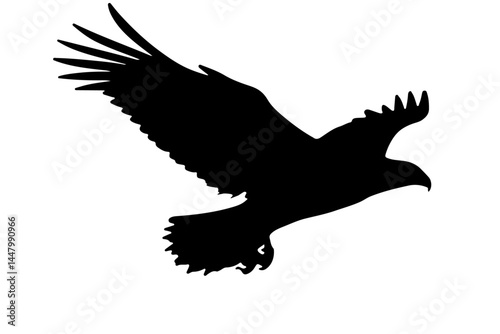 peregrine falcon flying high black silhouette