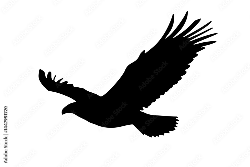 peregrine falcon flying silhouette peregrine falcon flying silhouette