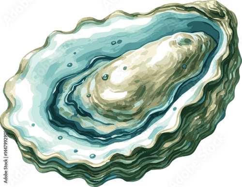 Watercolor illustration of an oyster