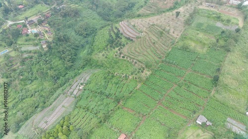 Aerial View of Lush Green Terraced Farmlands