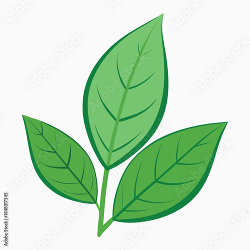 A stylized depiction of green leaves. The leaves are vibrant and glossy, showcasing a rich gradient of green shades with subtle vein details, emphasizing the freshness and organic nature of the leaves