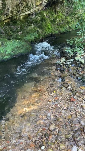 Video verticale d'une petite cascade dans une forêt en 4k