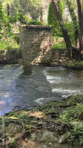 Video verticale d'une petite cascade dans une forêt en 4k