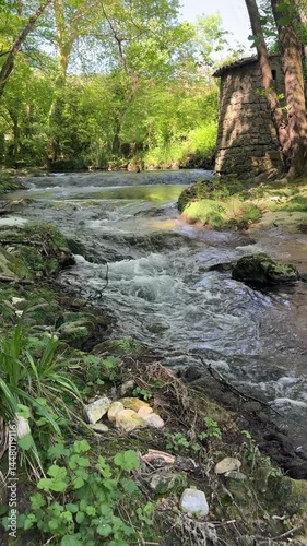 Video verticale d'une petite cascade dans une forêt en 4k