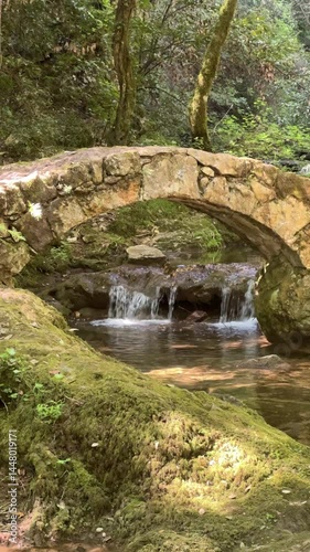 Video verticale d'une petite cascade avec un pont en pierre dans une forêt en 4k