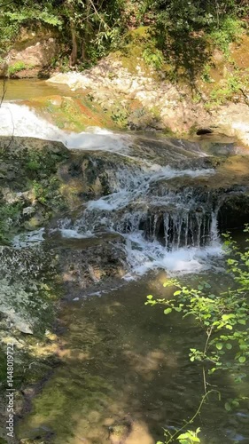 Video verticale d'une petite cascade en gros plan dans une forêt en 4k