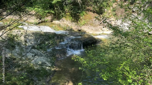 Video horizontale d'une petite cascade en gros plan dans une forêt en 4k