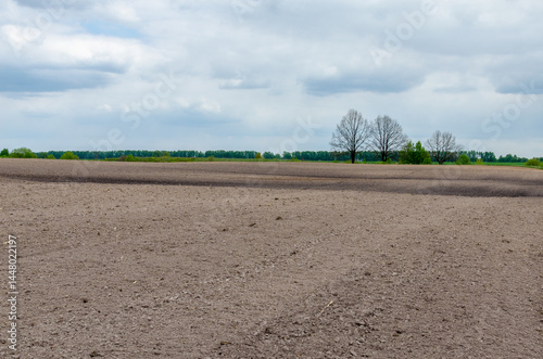 Fotografia Degraded pasture area being harrowed. Pasture reform