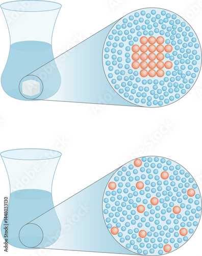 Chemical. Sugar soluble in water. Solubility of sugar and water. Sugar is the solute and water is the solvent that shows three dissolution states. Vector Illustration.
