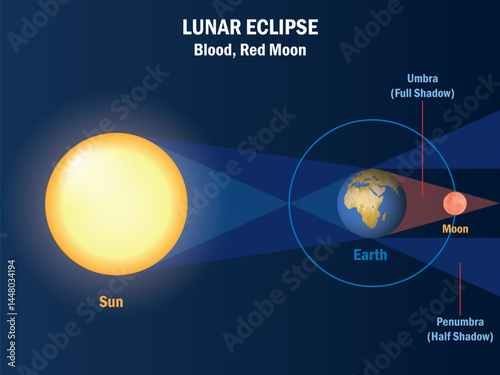 Lunar Eclipse, diagram. A lunar eclipse occurs when the moon passes into Earth's shadow. Moon orbit. Red blood moon. Vector illustration.