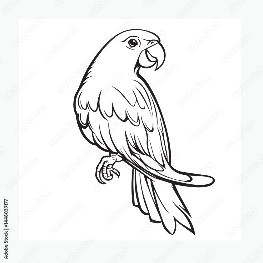 Fototapeta premium vector illustration of a parrot