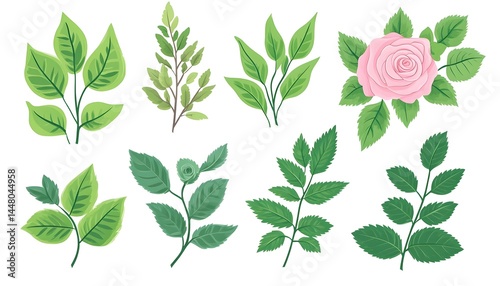 Collection of various green leaves and a pink rose, isolated on white background