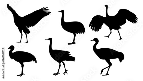 set of bustard bird silhouette