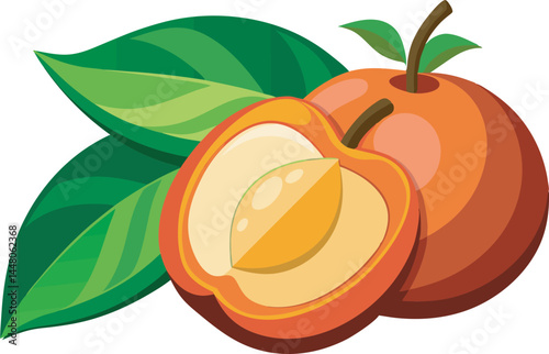 A colorful, detailed vector illustration of ripe ackee fruit, featuring vibrant hues and intricate design, ideal for creative and artistic projects.
