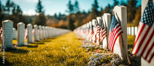 American Flags at Military Cemetery Remembrance Day Memorial Images