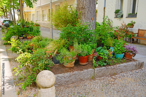 Buntes Blumenbeet in der Straße einer Großstadt mit Gehweg und Blumentöpfen an einer Baumscheibe / Urban Gardening