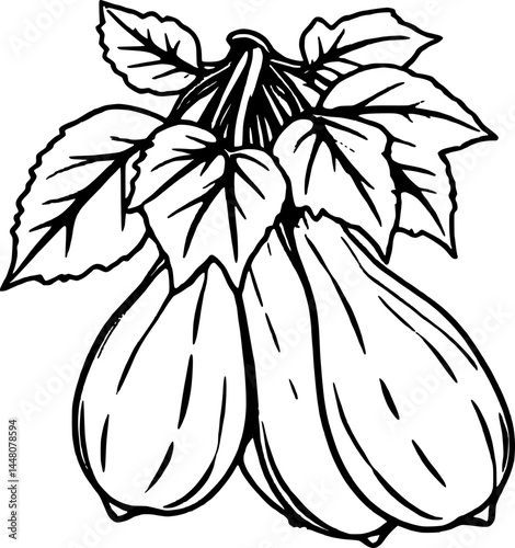 Line Art of Three Smooth Gourds Hanging With Leaves on White Background Simple Black and White Image