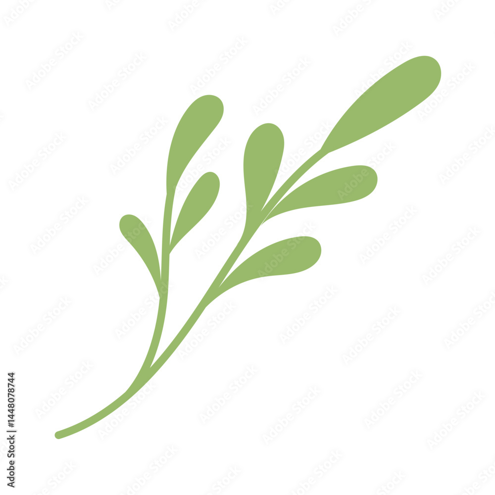 Obraz premium green leaves ornament isolated on white