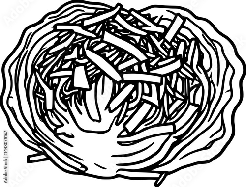 Sliced Cabbage Head Vegetable Food Ingredient Culinary Cutout Close-Up Isolated on a White Background