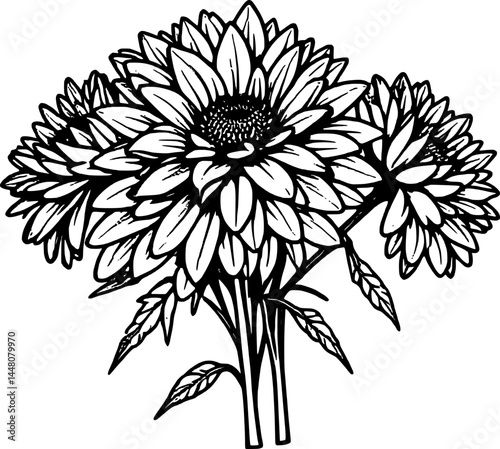 Outlined Elegant Bouquet With Three Blossoming Flowers On A Pure White Plain Background.