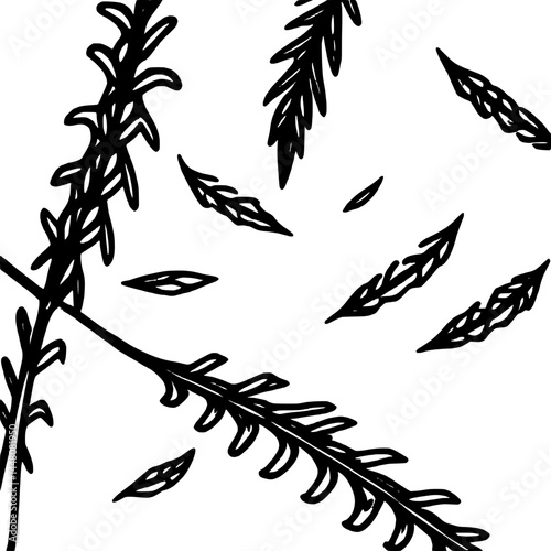Elegant Black And White Sketch Of Fern Fronds And Scattered Feathery Leaves In Artistic Arrangement