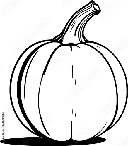 Simple Outline Depiction Of An Elegant White Pumpkin With A Twisted Stem In Black And White