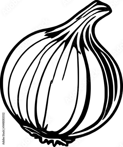 Simple Sketch Of A Fresh Onion With Crisp Black Outline On Clean White Background Minimalist Style