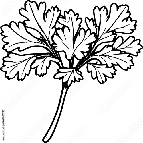 Vivid Green Coriander Herb With Serrated Leaves Against A Plain White Background Artwork Style