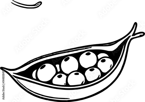 Elegant Black And White Illustration Of Fresh Organic Peas In A Pod With Empty Pea Pod Top Left